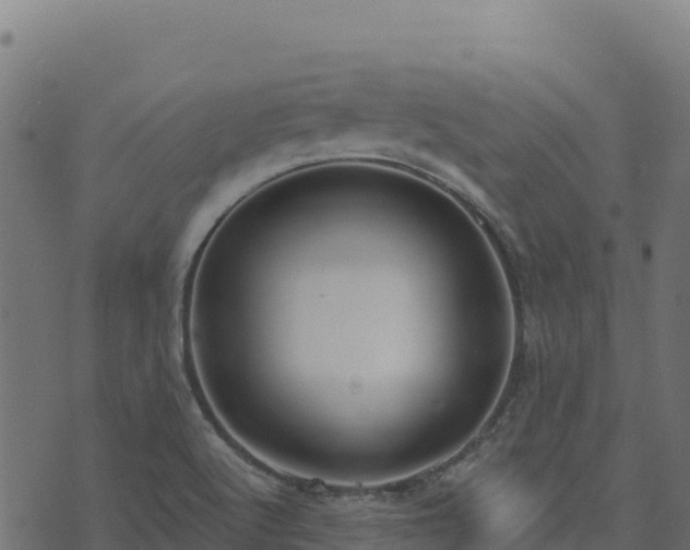 X0000073931512200608181101