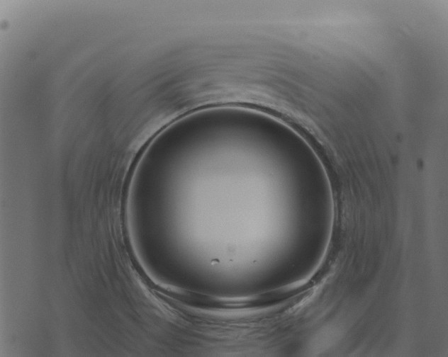 X0000073931513200608181101