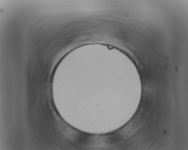 X0000073931514200608181101