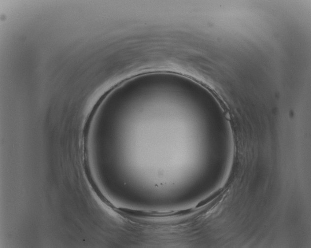 X0000073931519200608181101