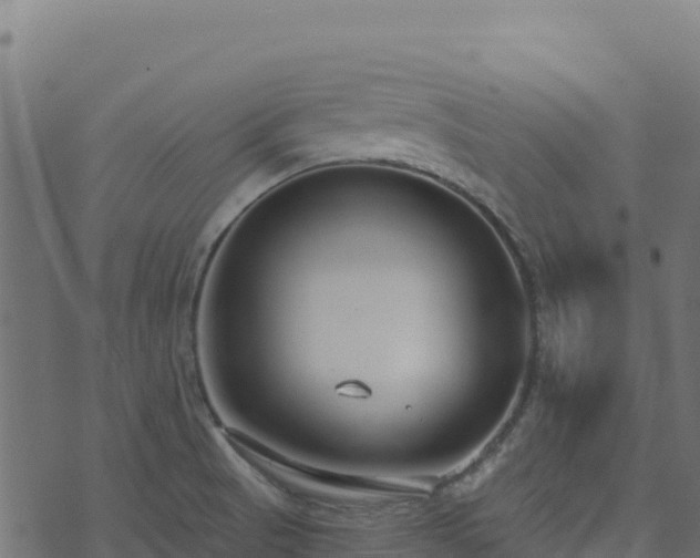 X0000073931521200608181101