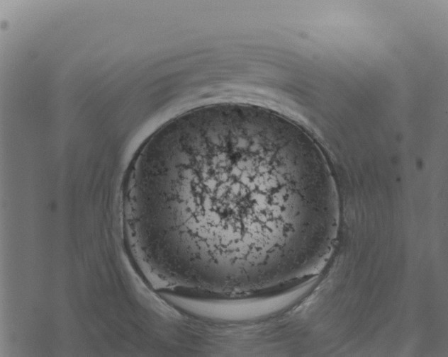 X0000073931522200608181101