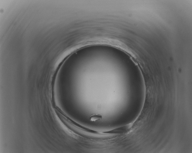 X0000073931523200608181101