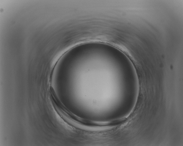 X0000073931524200608181101