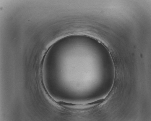 X0000073931526200608181101