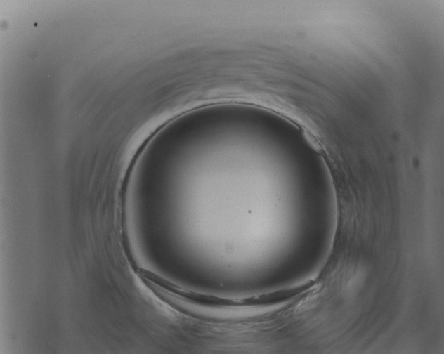 X0000073931527200608181101