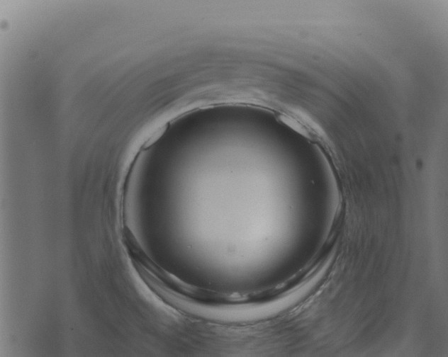 X0000073931528200608181101