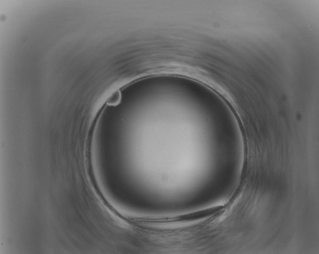 X0000073931533200608181101