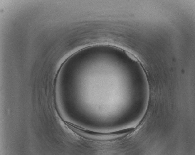 X0000073931534200608181101