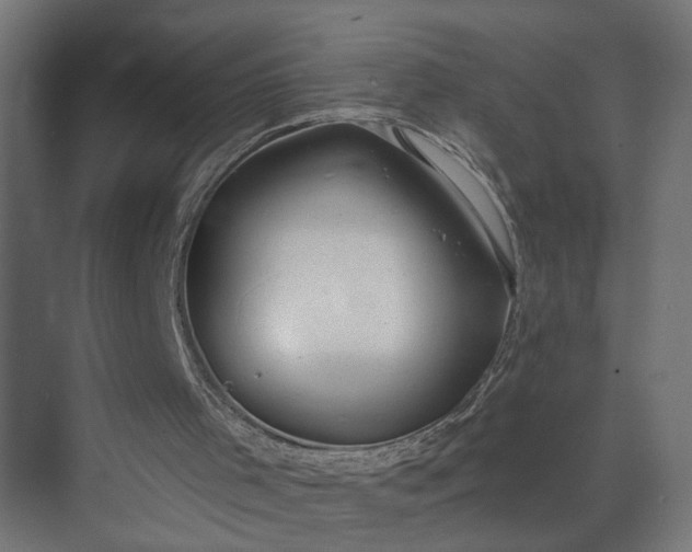 X0000073930001200608251627