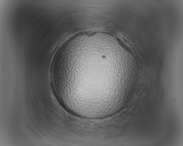 X0000073930002200608251627