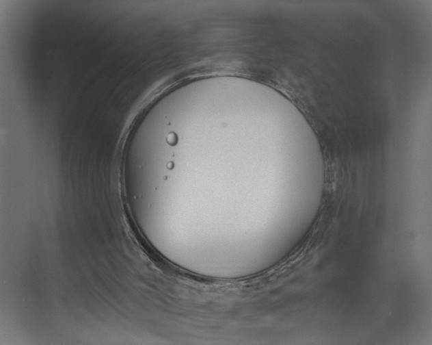 X0000073930004200608251627