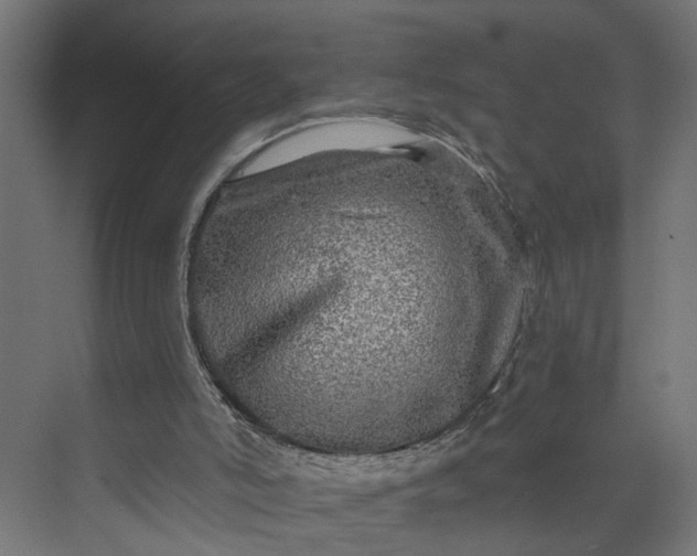 X0000073930006200608251627