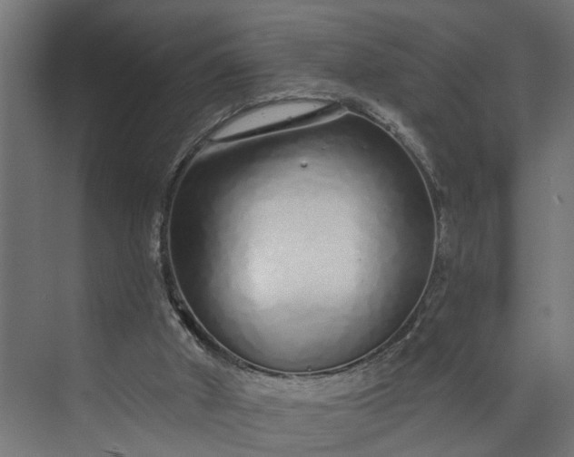 X0000073930010200608251627