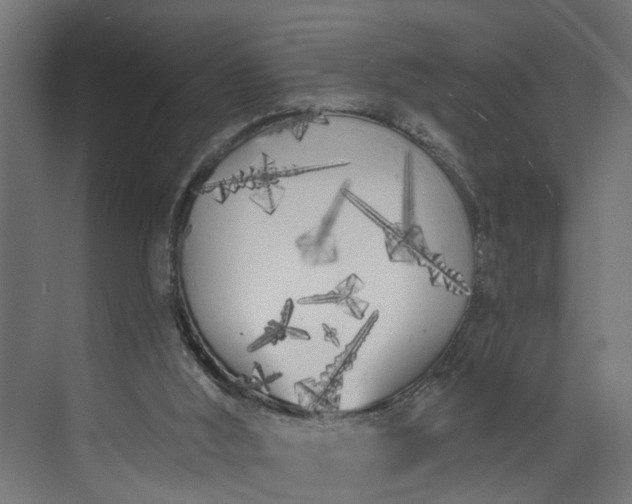 X0000073930012200608251627