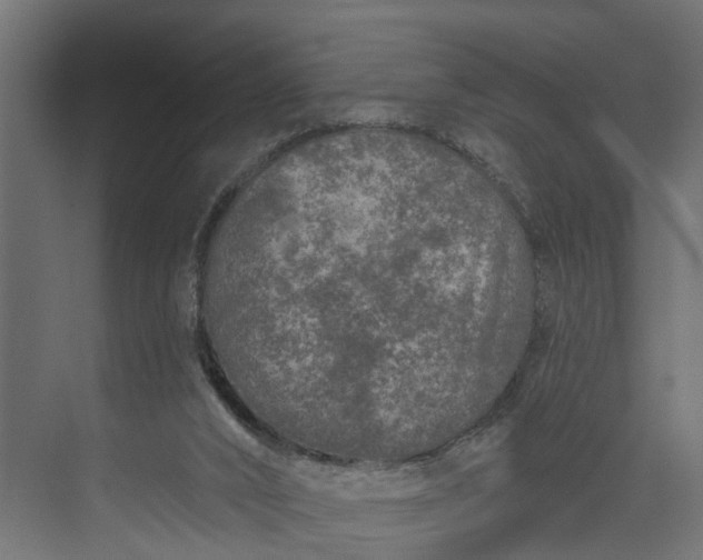 X0000073930016200608251627