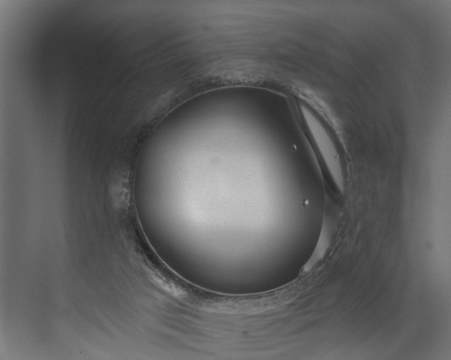 X0000073930017200608251627