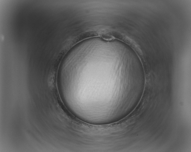 X0000073930018200608251627