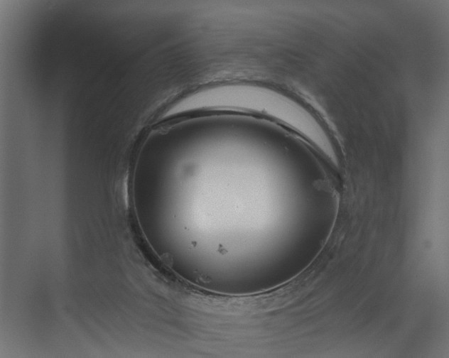 X0000073930019200608251627