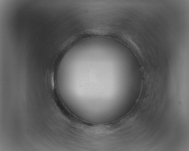 X0000073930020200608251627