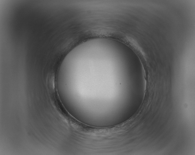 X0000073930021200608251627