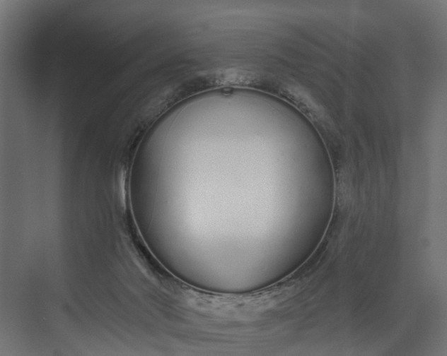 X0000073930022200608251627