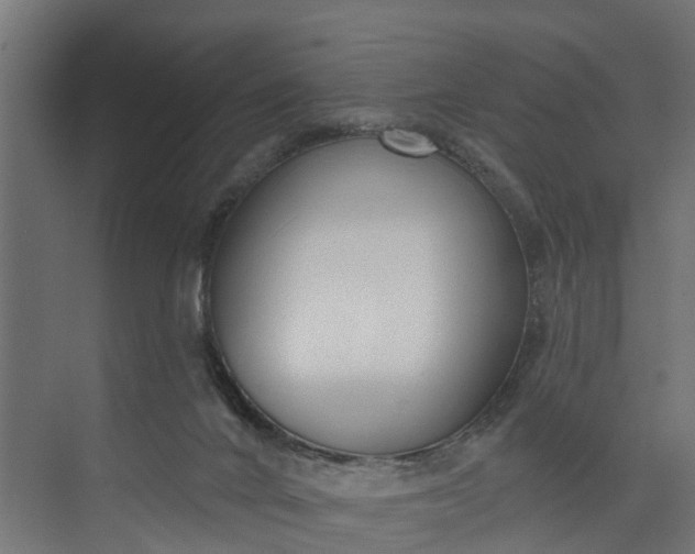 X0000073930024200608251627