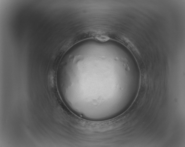 X0000073930026200608251627