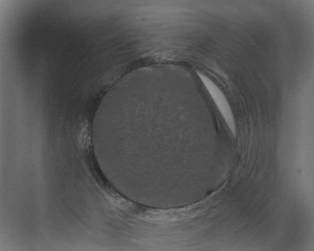 X0000073930029200608251627