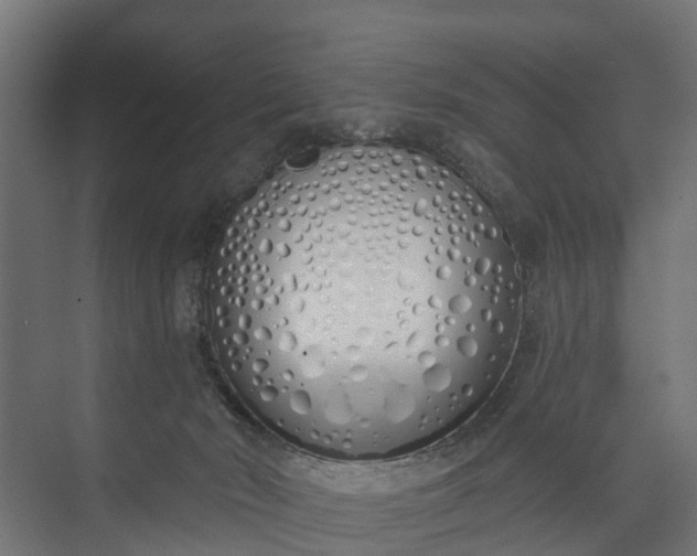 X0000073930030200608251627