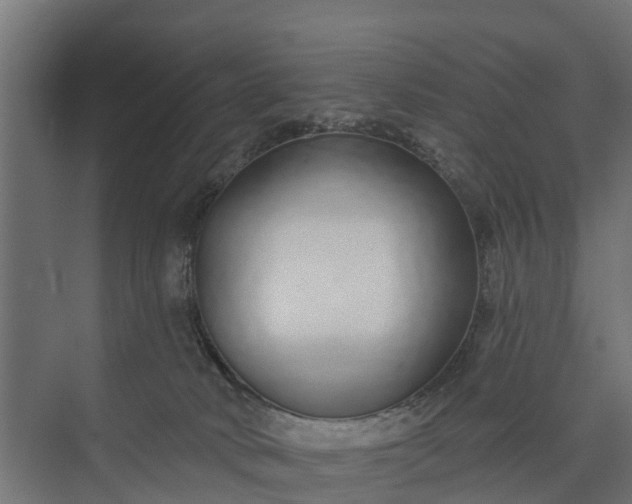 X0000073930034200608251627