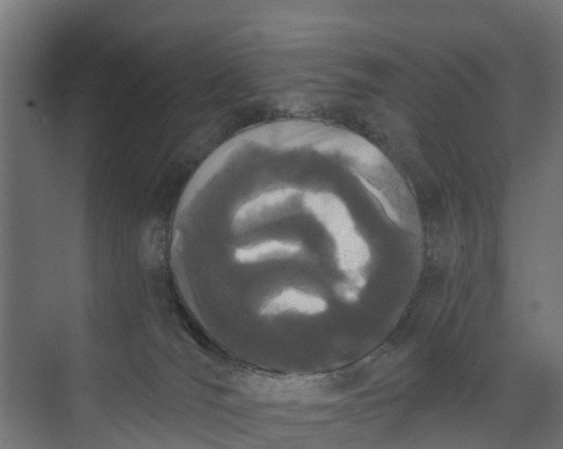 X0000073930036200608251627