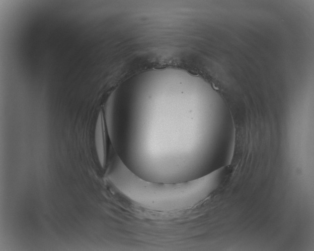 X0000073930039200608251627