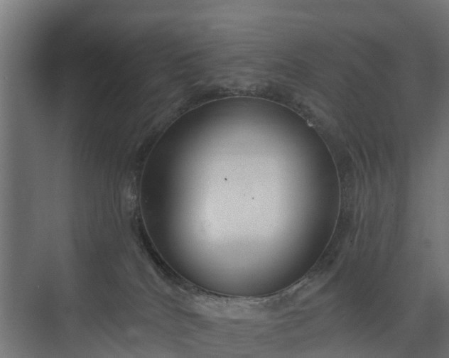 X0000073930040200608251627