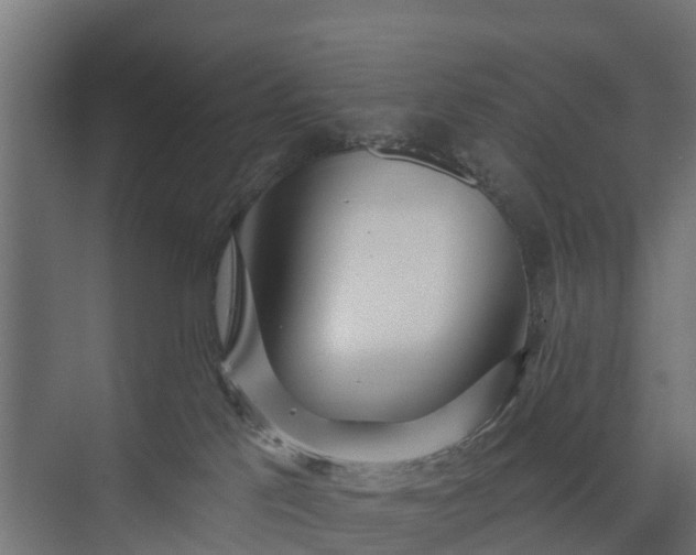 X0000073930041200608251627