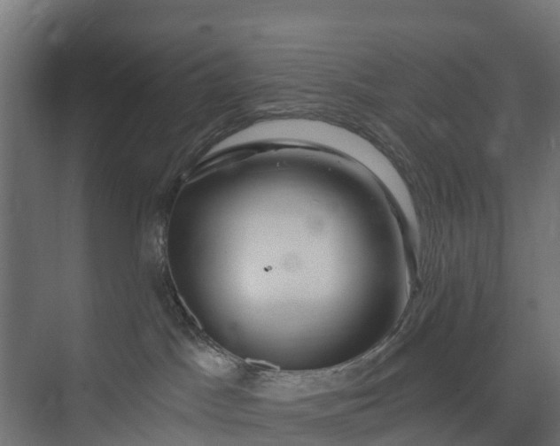 X0000073930045200608251627