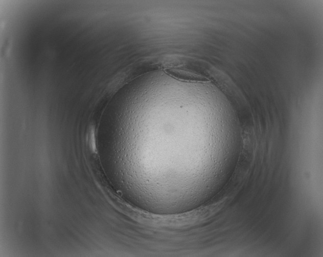 X0000073930046200608251627