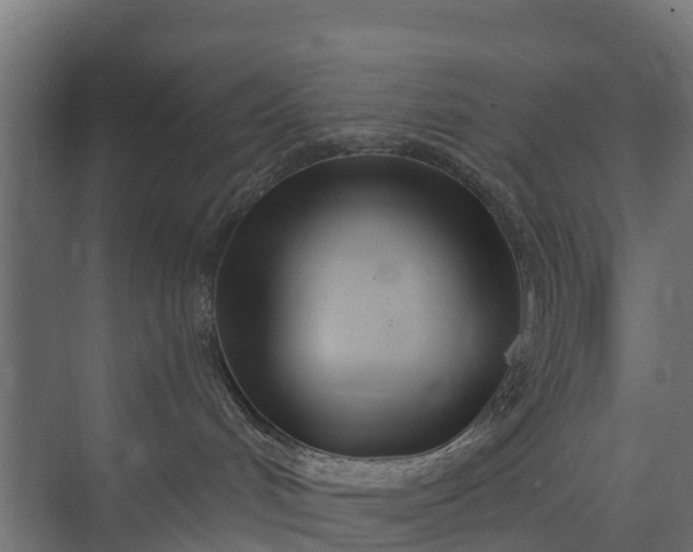 X0000073930048200608251627