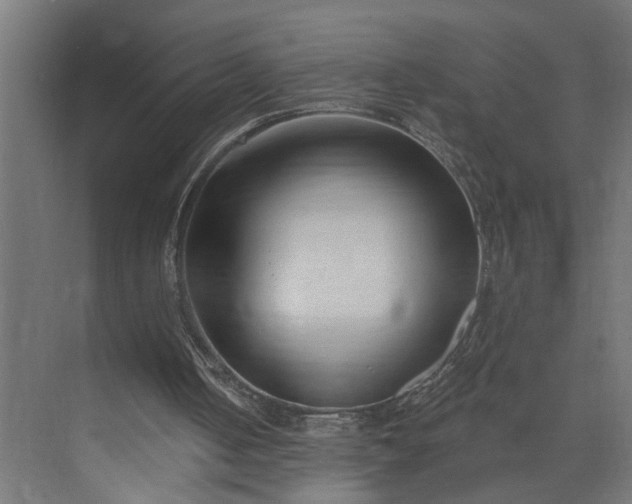 X0000073930050200608251626