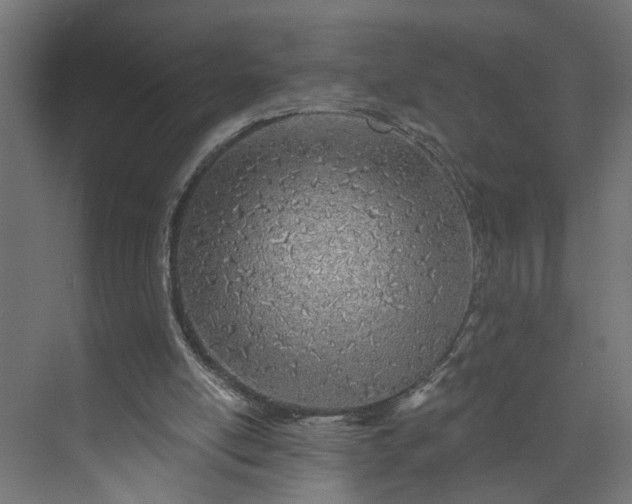 X0000073930054200608251626