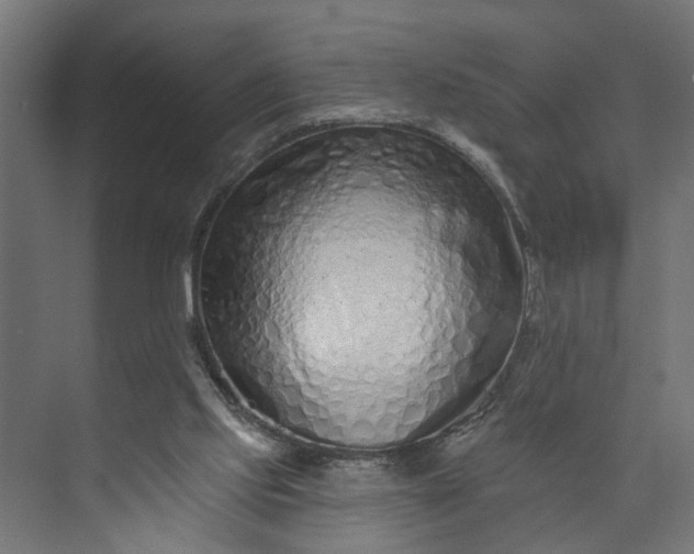 X0000073930061200608251626