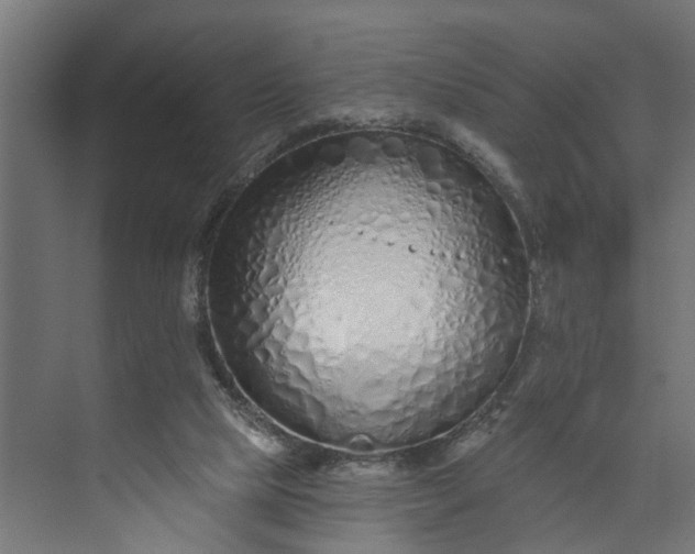 X0000073930065200608251626