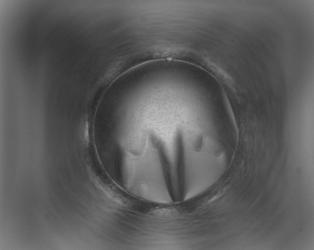 X0000073930067200608251626