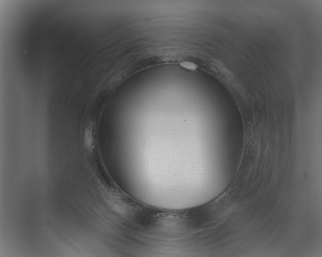 X0000073930074200608251626