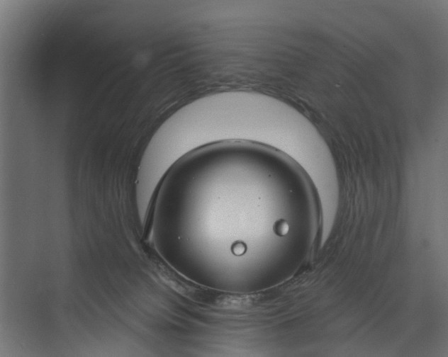 X0000073930084200608251626