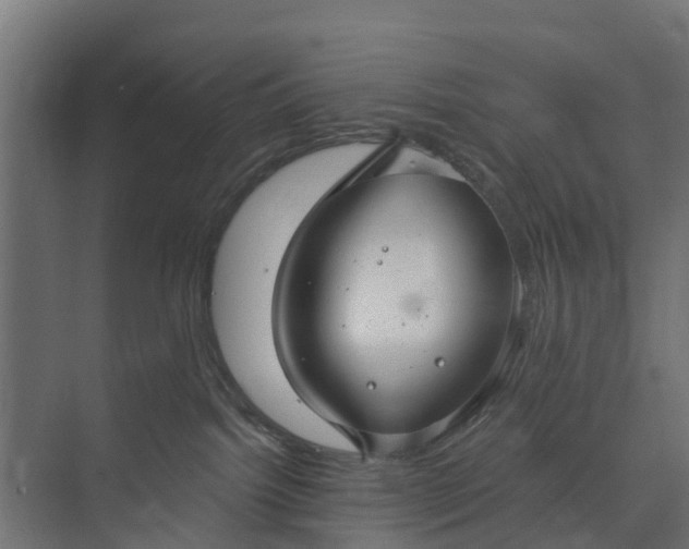 X0000073930092200608251627