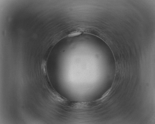 X0000073930094200608251627