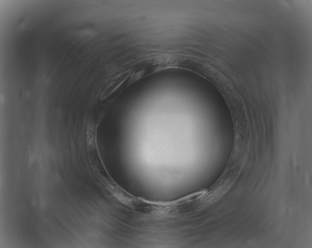 X0000073930096200608251627