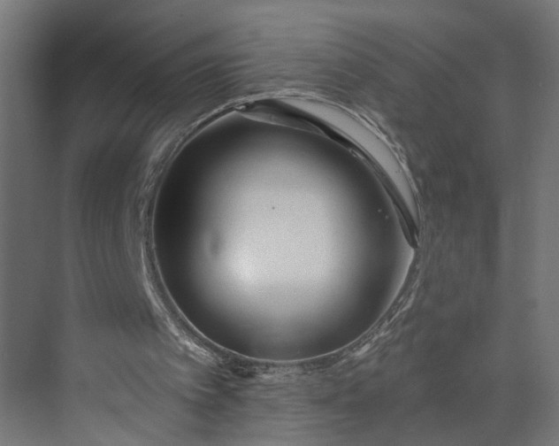 X0000073930097200608251626