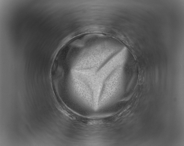 X0000073930099200608251626